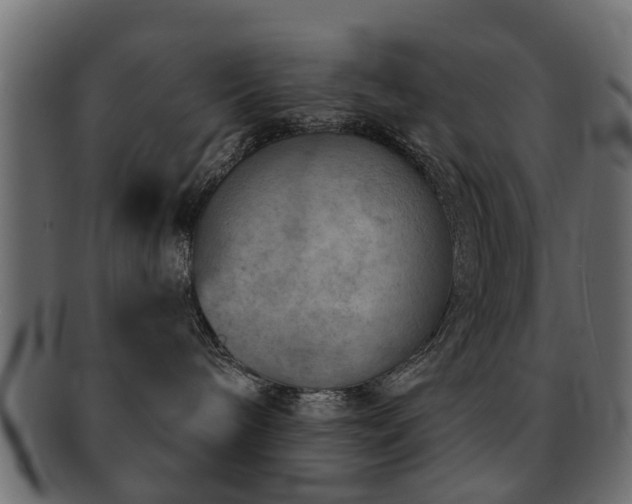 X0000093100240200709261237