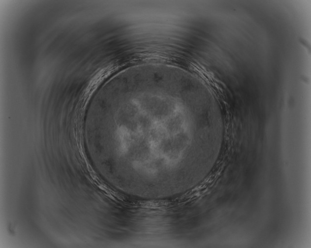 X0000093100241200709261236