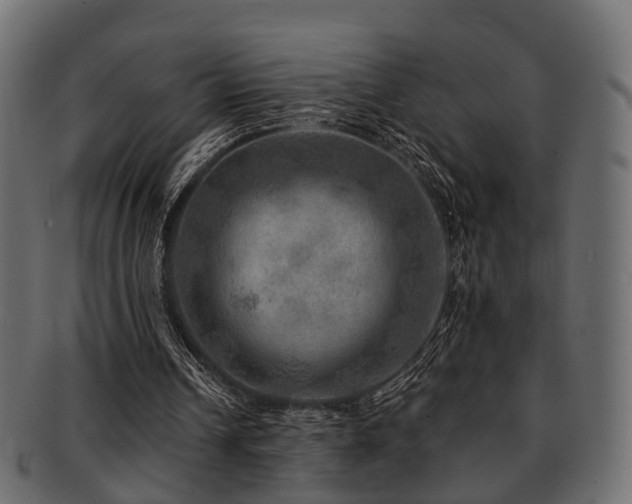 X0000093100242200709261236