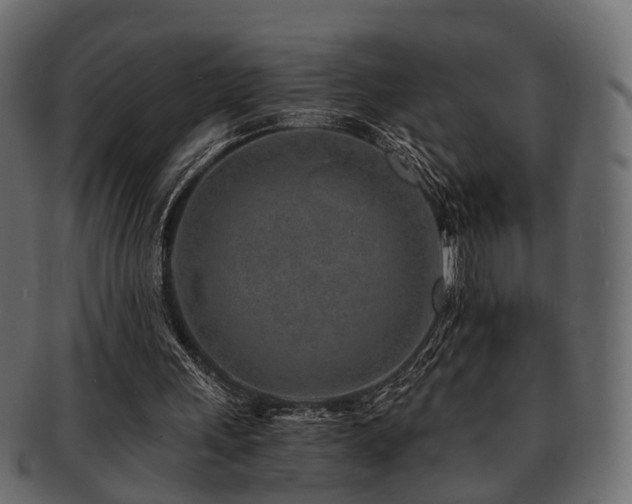 X0000093100243200709261236