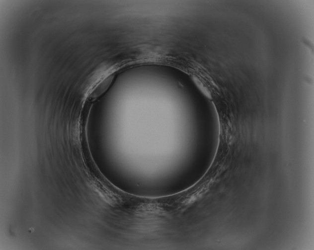 X0000093100244200709261236