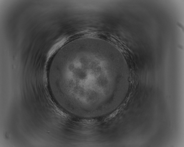 X0000093100245200709261236