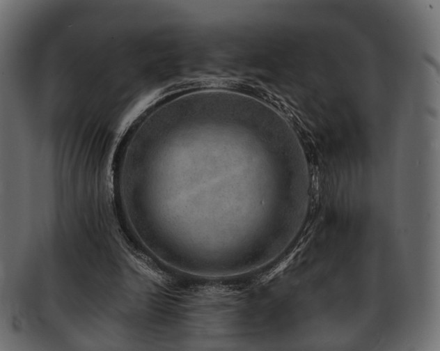 X0000093100246200709261236