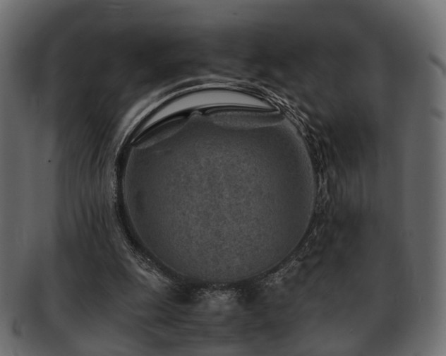 X0000093100247200709261236