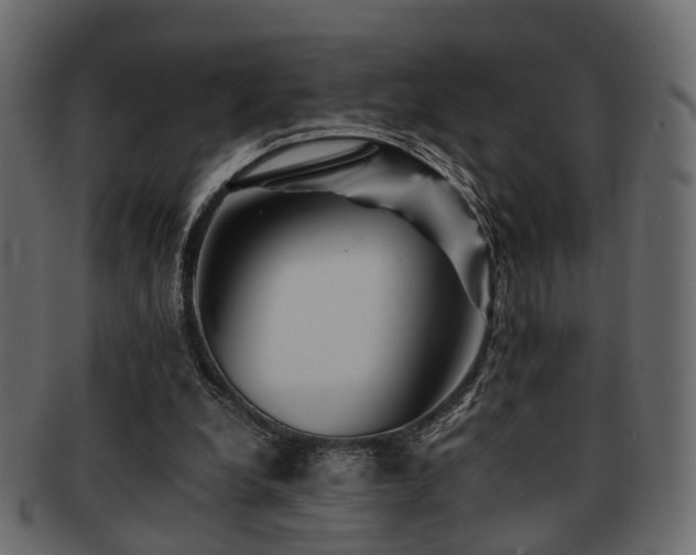 X0000093100248200709261236