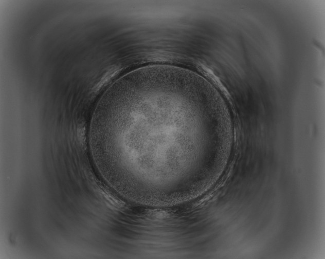 X0000093100249200709261236