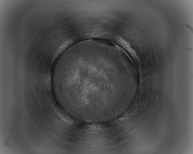 X0000093100250200709261236