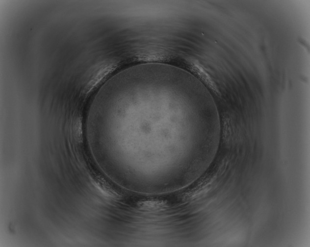 X0000093100251200709261236
