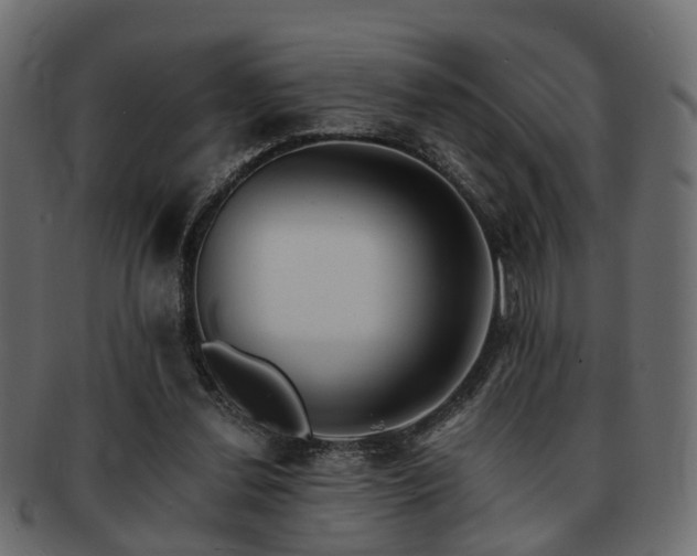X0000093100252200709261236