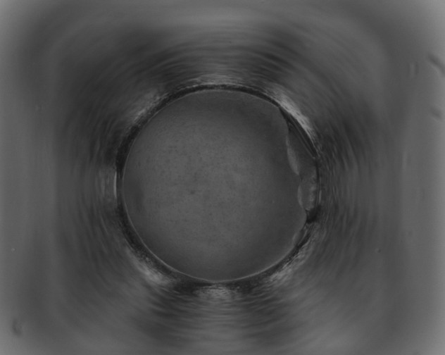 X0000093100253200709261236