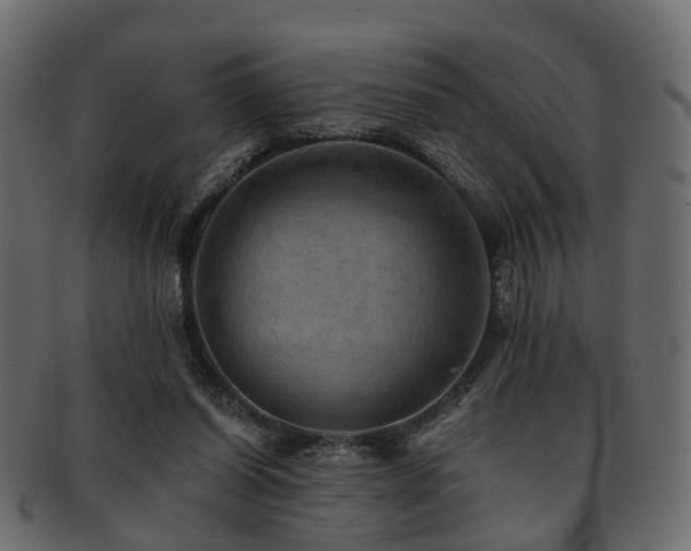 X0000093100254200709261236
