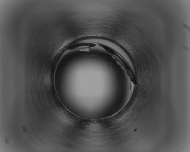 X0000093100256200709261236