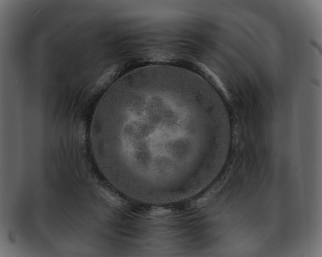 X0000093100257200709261236