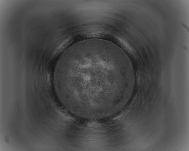 X0000093100258200709261236