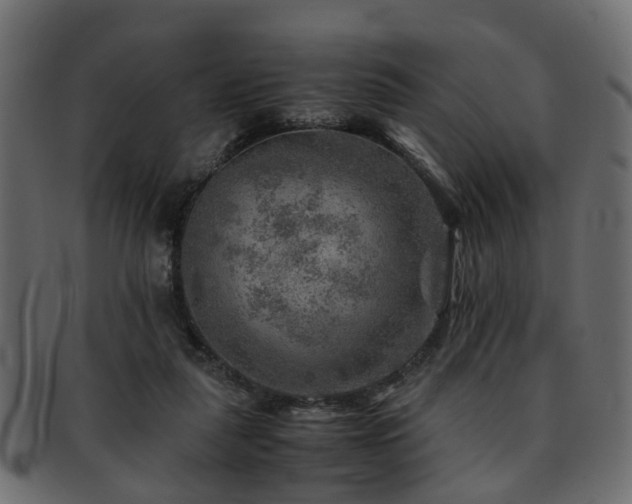 X0000093100259200709261236