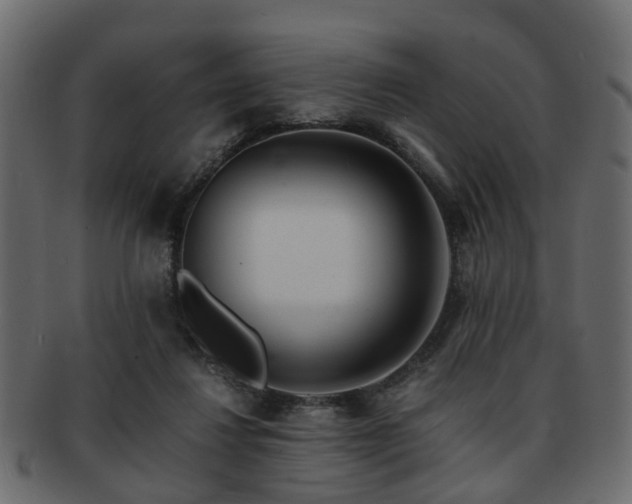X0000093100260200709261236