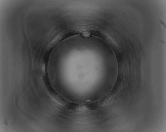 X0000093100262200709261236