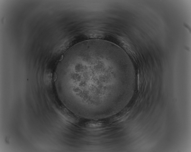 X0000093100263200709261236