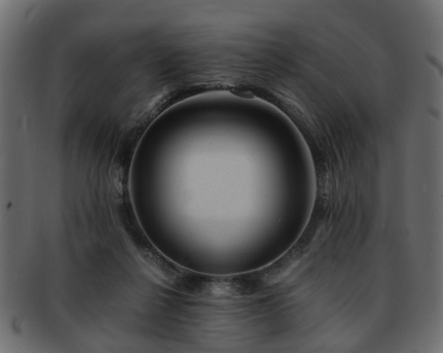 X0000093100264200709261236