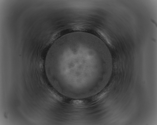 X0000093100265200709261236