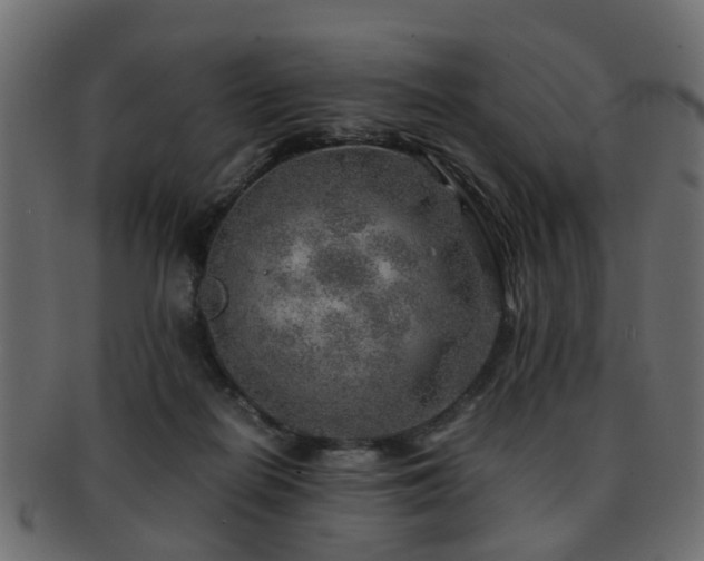 X0000093100266200709261236