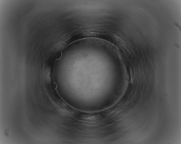 X0000093100267200709261236