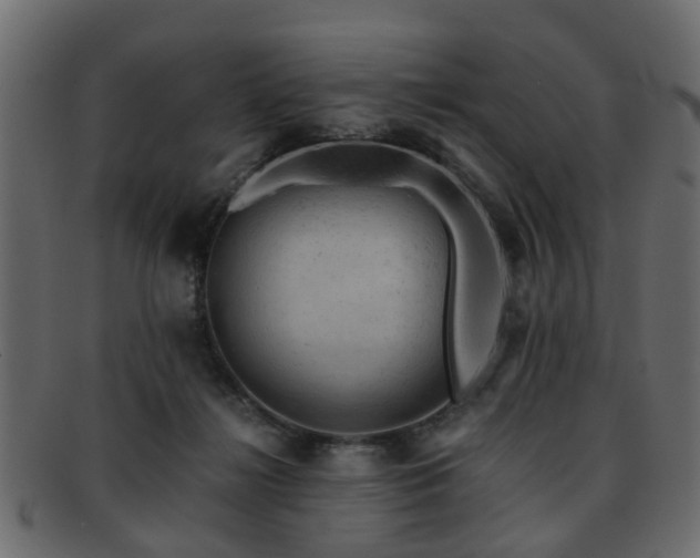 X0000093100268200709261236
