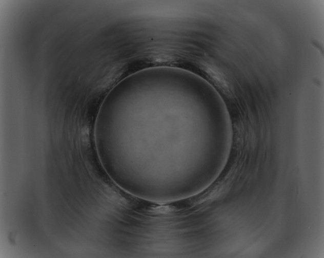 X0000093100269200709261236