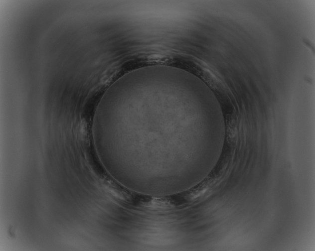 X0000093100270200709261236