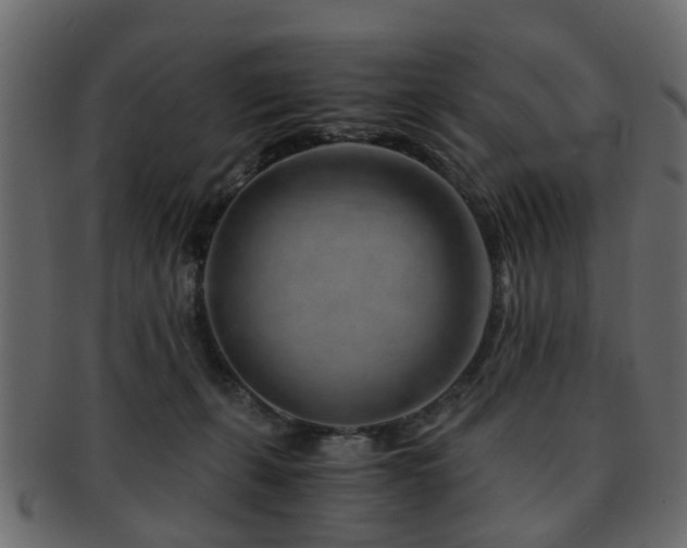 X0000093100271200709261236