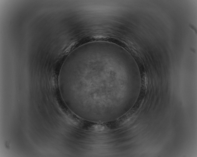 X0000093100272200709261236