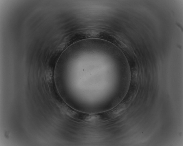 X0000093100274200709261236
