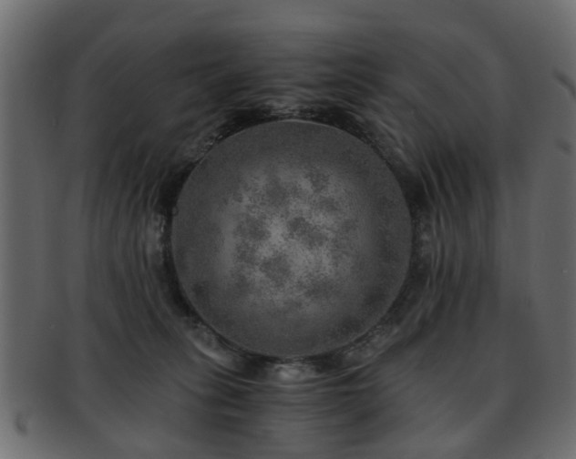 X0000093100275200709261236
