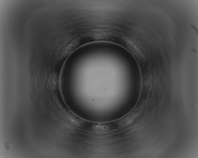 X0000093100277200709261236