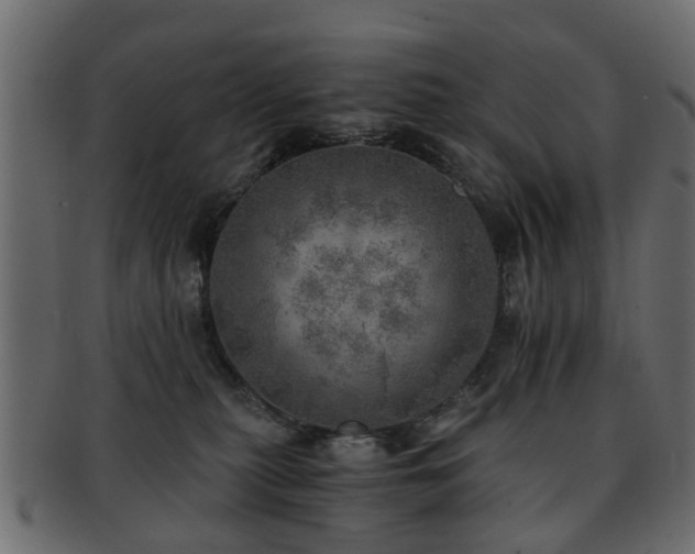 X0000093100279200709261236