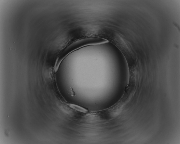 X0000093100280200709261236