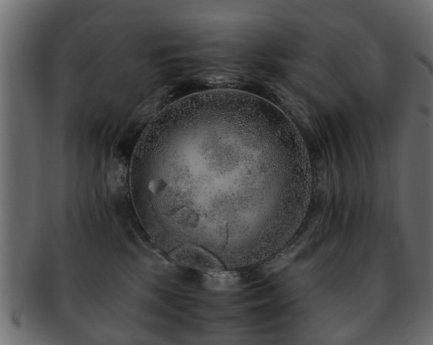 X0000093100281200709261236
