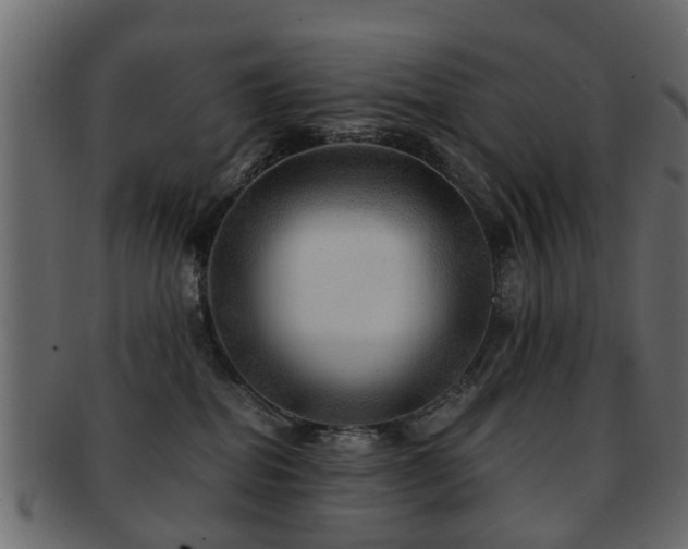 X0000093100282200709261236