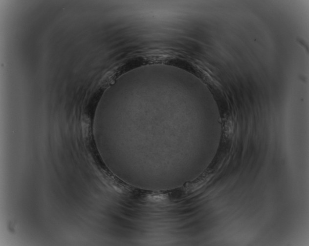 X0000093100283200709261236