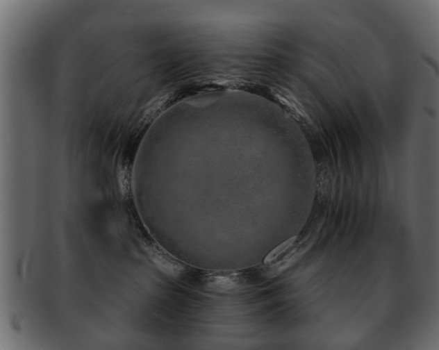 X0000093100285200709261237