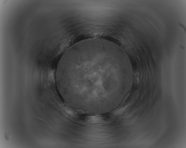 X0000093100286200709261237