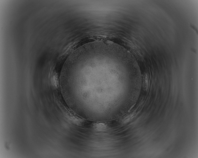 X0000093100287200709261237