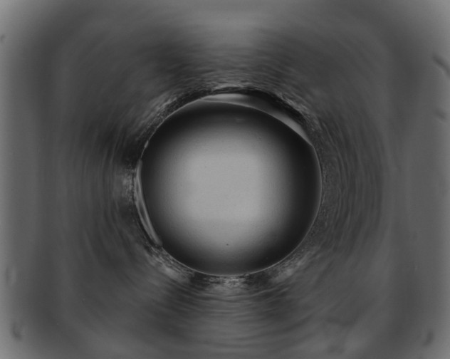 X0000093100288200709261237