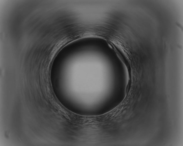 X0000093100289200709261236