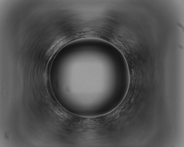 X0000093100290200709261236