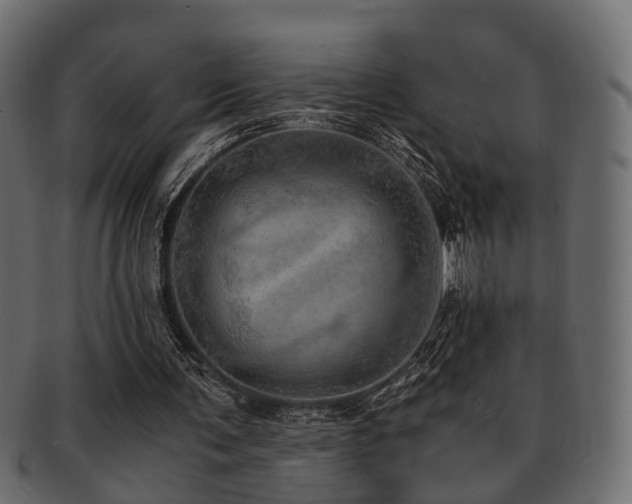X0000093100291200709261236