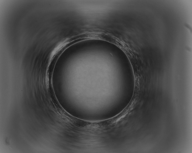 X0000093100294200709261236