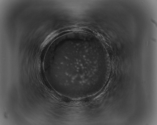 X0000093100295200709261236