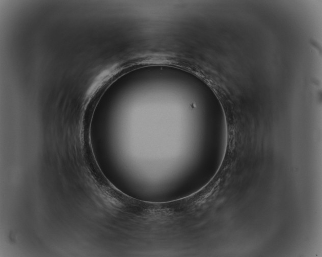 X0000093100296200709261236