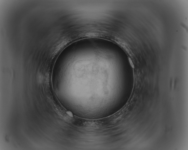 X0000093100297200709261236